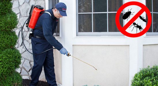 Ardanuç Böcek İlaçlama böcek ilaçlama ve haşere kontrolü — ilaclama-tr.com
